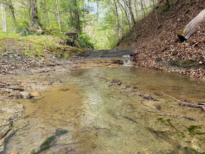 025 the rock bottom to the route up Bradburn Branch