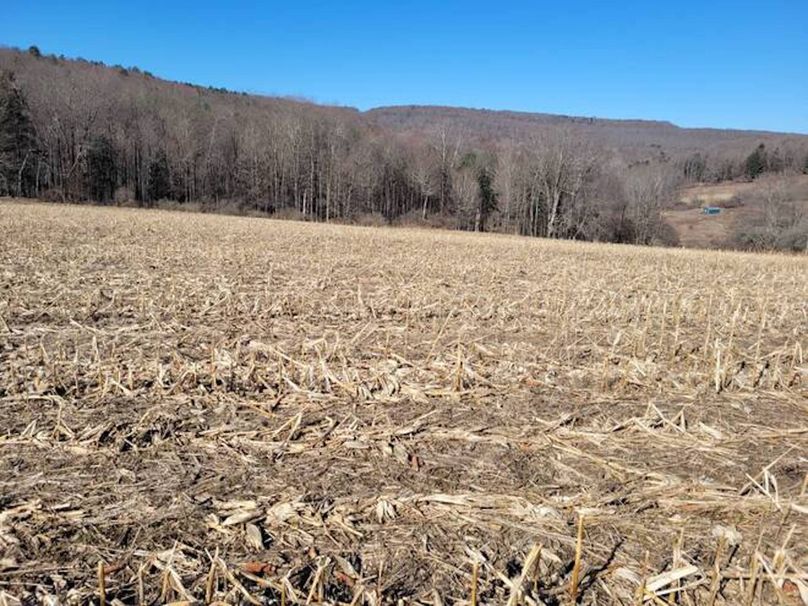 11067406-ZBhZmfzpzjHPbV3C