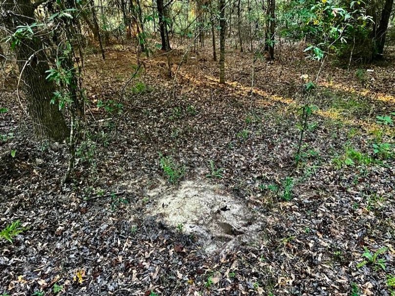 4379547B-1005-4E2E-A105-296E08BBB8E5_1_105_c