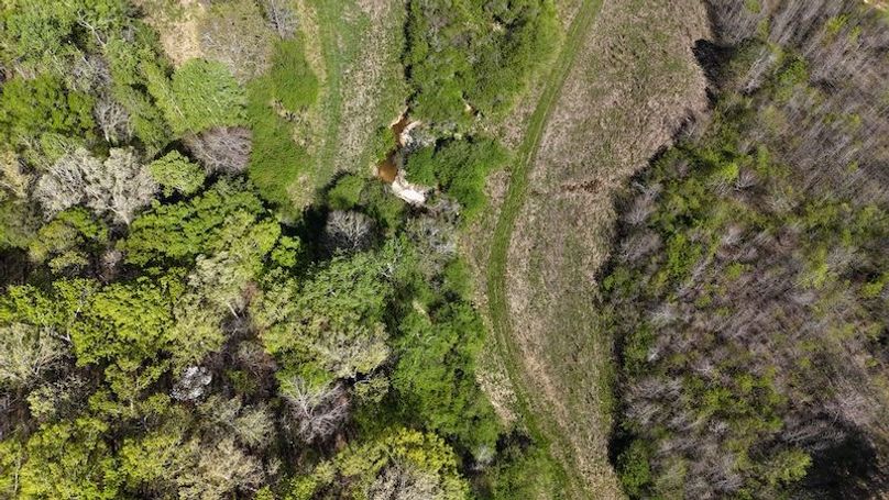 DJI_20250416110601_0131_D