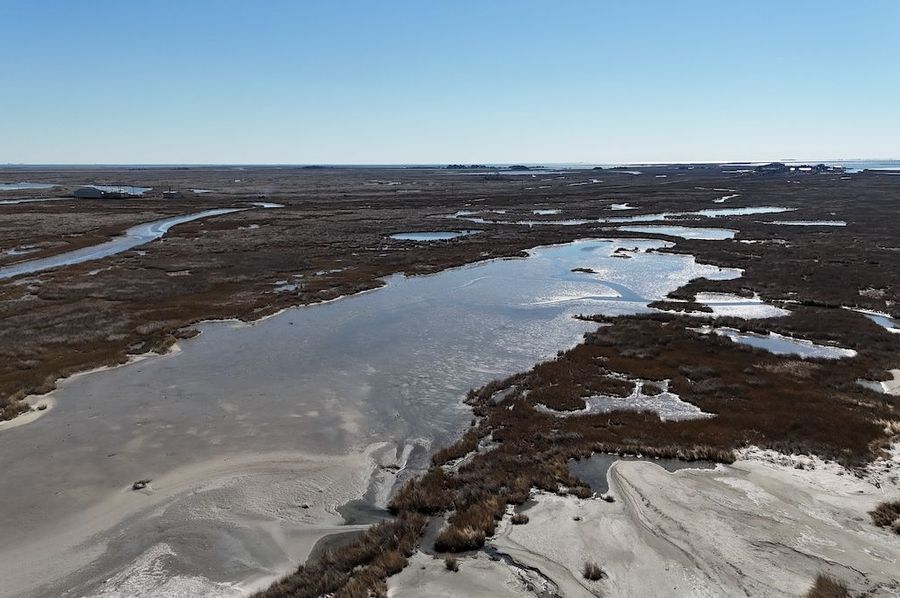 dji_fly_20250303_110858_0003_1741020601432_photo