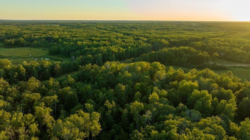 Cass MN 1095 Featured ProPhoto-95