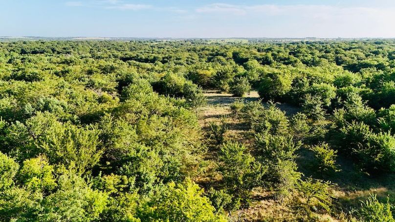 dji_fly_20250728_075532_0039_1753739711490_photo