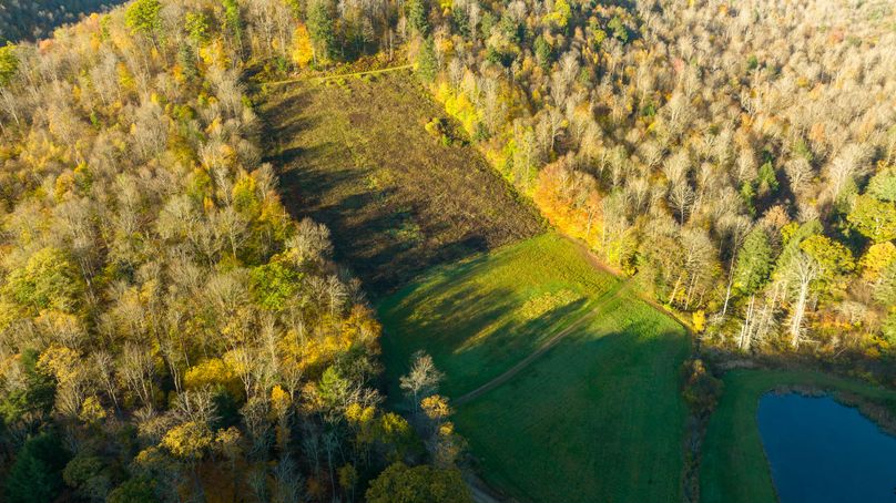 Elk PA 7000 Feature_Pro Photo-79