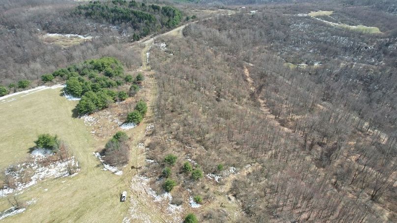 dji_fly_20260319_142750_155_1773945005915_photo