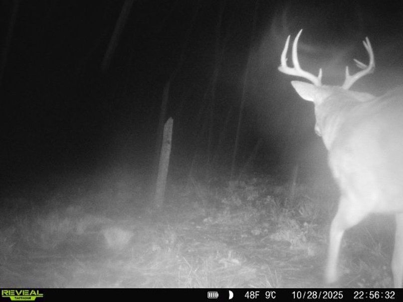 860322062100349-100-4-10282025225632-V-W1003048