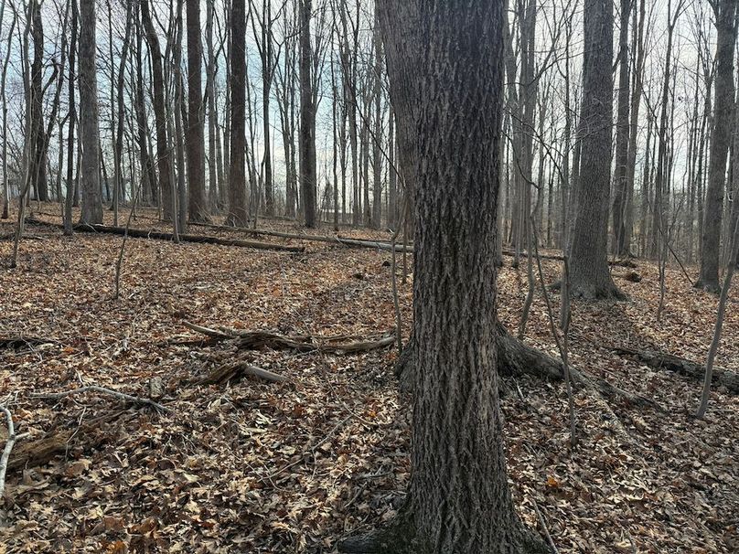 CF610ACE-356C-4F70-8DFC-03D56A81A837_1_102_o