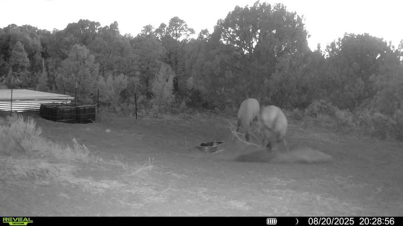 016578004060205-100-2-08202025202856-V-SYFW00023