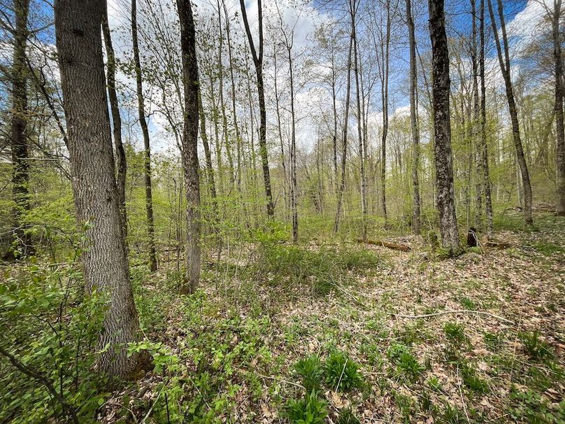 Tioga_76.65_Matyjas_Photos_28