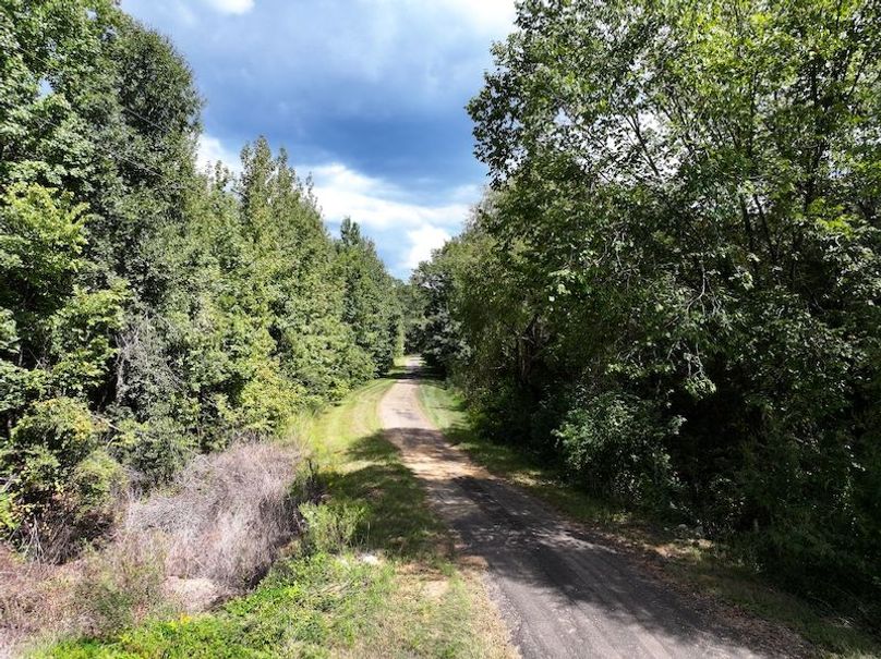 dji_fly_20251001_132558_0583_1759492701346_photo