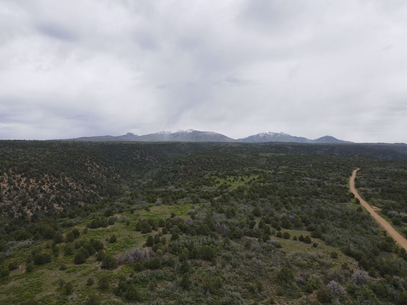 dji_export_1685968224731