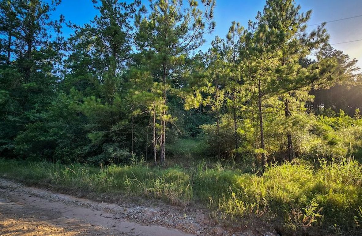 Copy of 20240704_191359