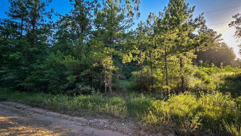 Copy of 20240704_191359