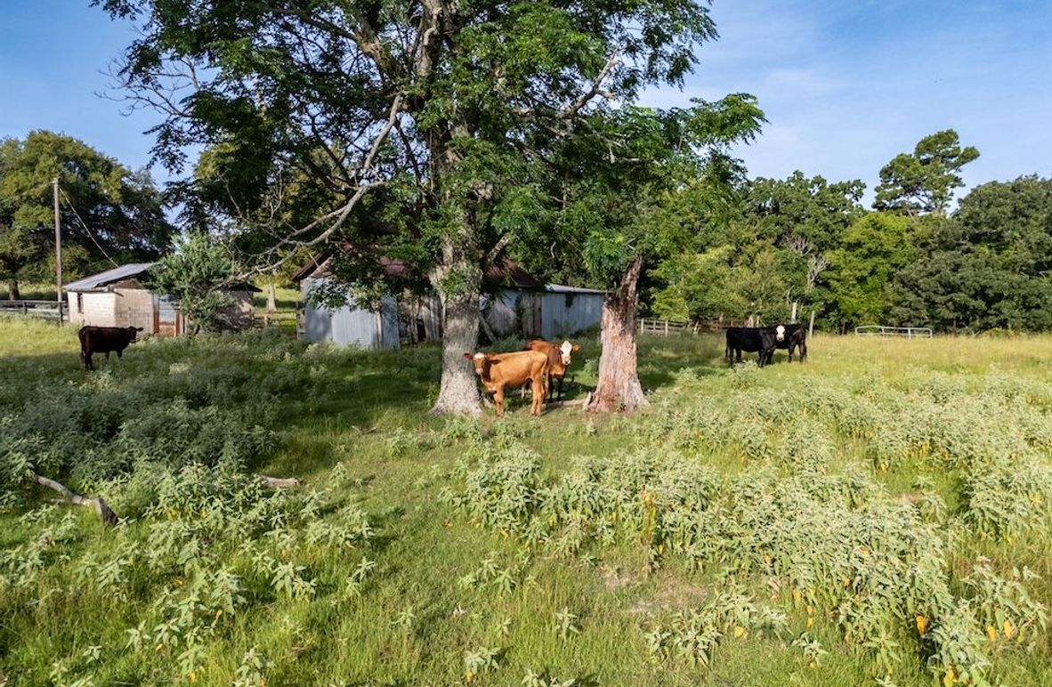 4 Upshur Co. 125Ac Reigel-58