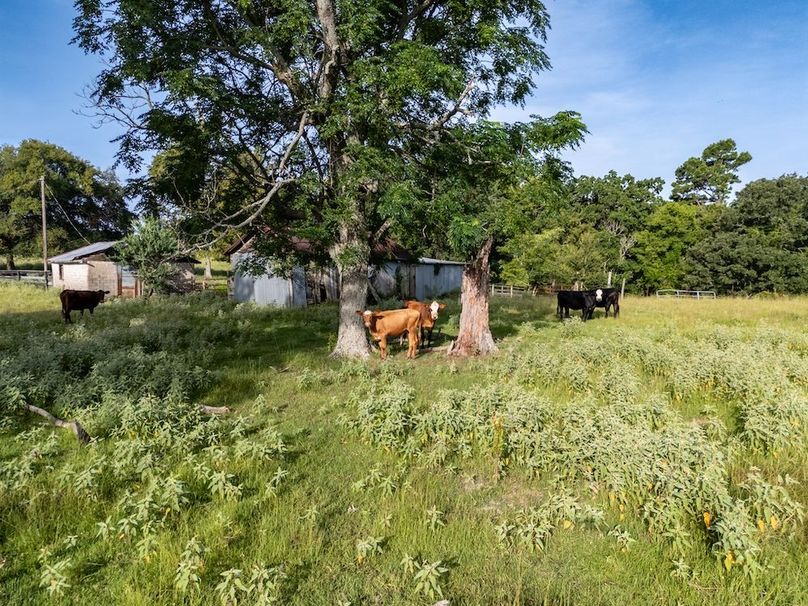 4 Upshur Co. 125Ac Reigel-58