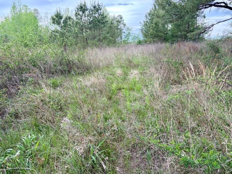 7CA35316-4FA0-4F6A-8220-0D9B5454D984_1_105_c