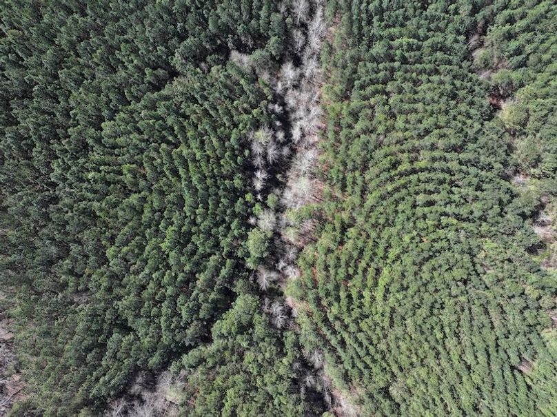 010AE - 257 Acres - Drone-5