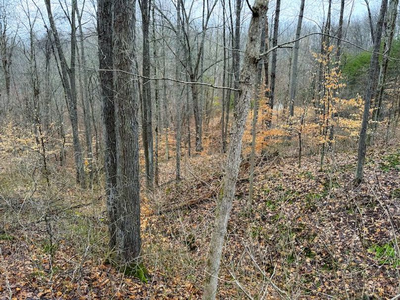 Ritchie, WV 64 AC Hall New Pics-06