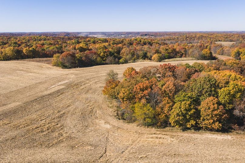 DJI_20251107111841_0844_D-HDR