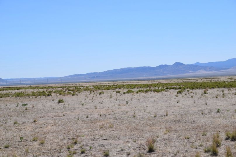 Copy of IMG_1534