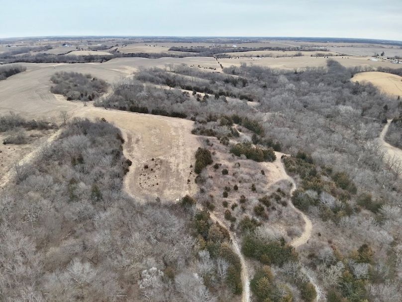 83171C12-23AA-465C-B121-5D28510F0FA9_1_201_a