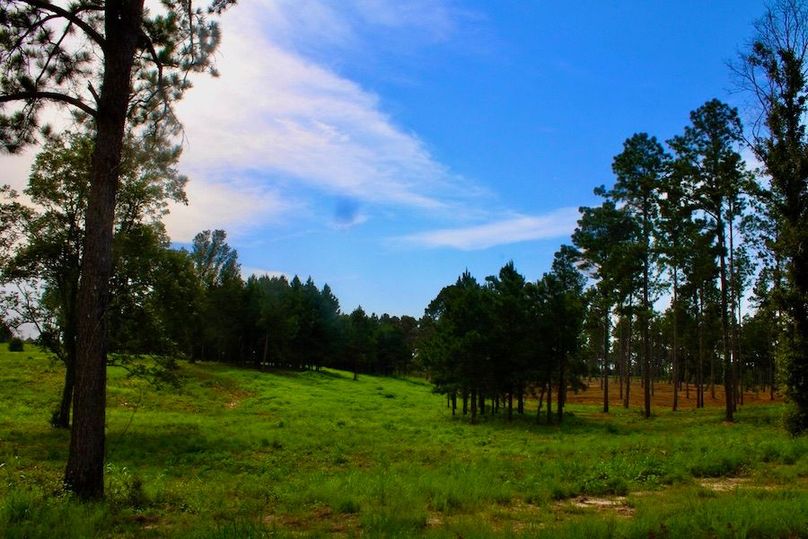 A488B025-1E66-4972-9648-0137A6717B2F_1_105_c