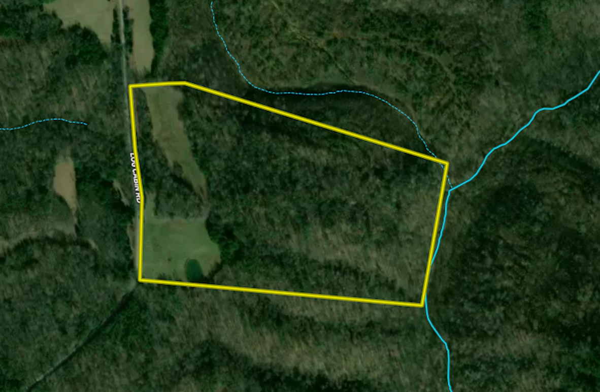 Screenshot 2026-02-19 110827