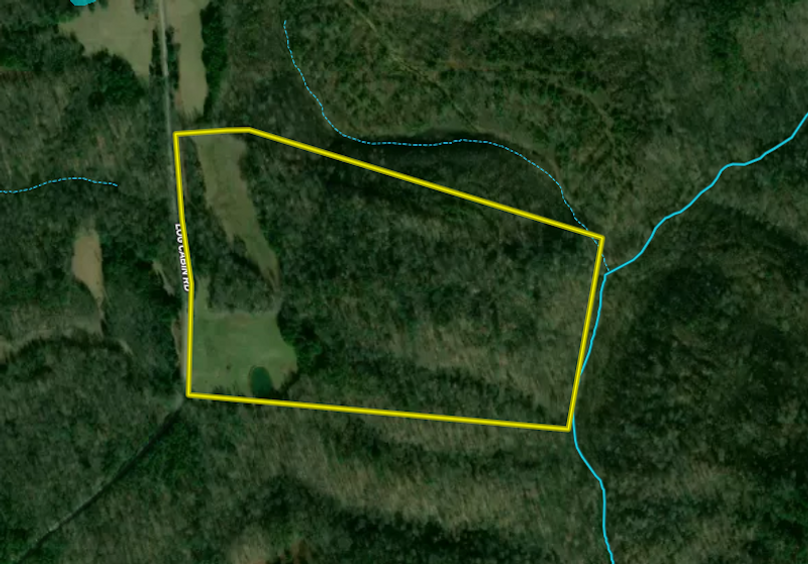 Screenshot 2026-02-19 110827