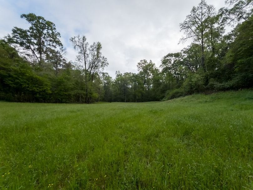 Claiborne Co-314-Fernandez-87