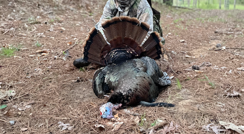 Screenshot 2026-03-02 at 9.56.54 AM