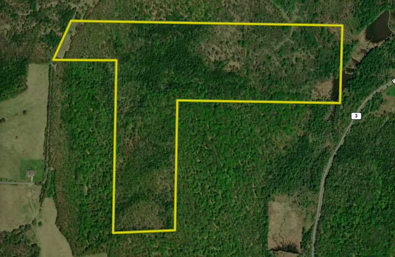 Chemung_78.26_Gutchess_Lumber_Landid_2