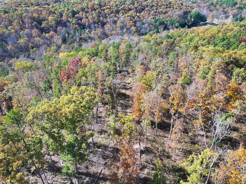 DJI_20251104130820_0856_D