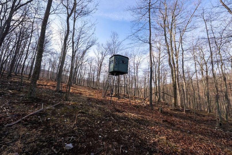 Copy of Hampshire WV 200 Featured_Pro Photo-46