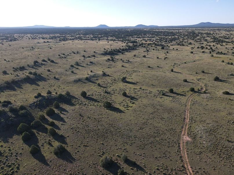 dji_fly_20240816_075038_513_1723816286834_photo