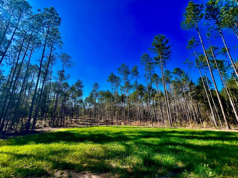 91865BD7-B953-4D56-AAE5-9299407BAC10_1_201_a