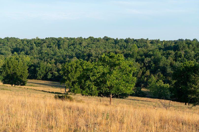 Ozark MO 638_Pro Photo_83