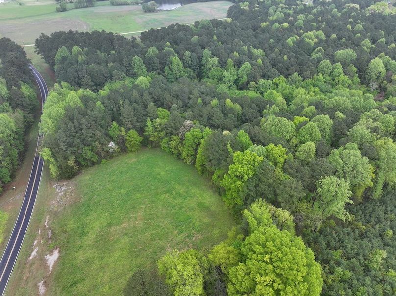 Copy of DJI_20250411111307_0032_D