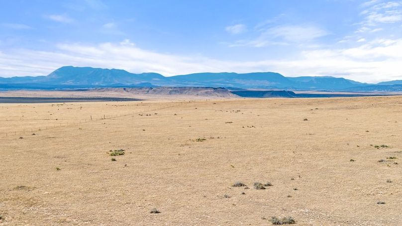 DJI_20251015125639_0183_D