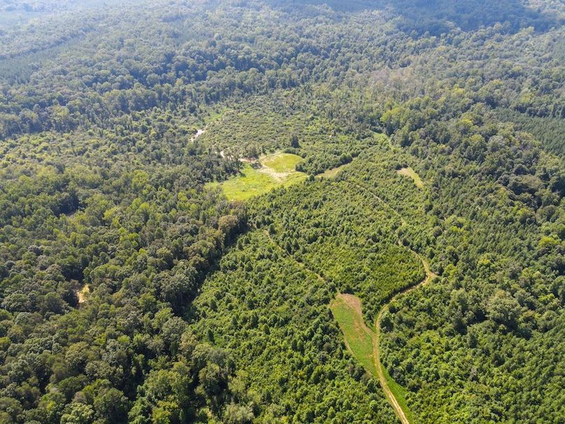 dji_fly_20250729_105020_797_1753800710310_photo