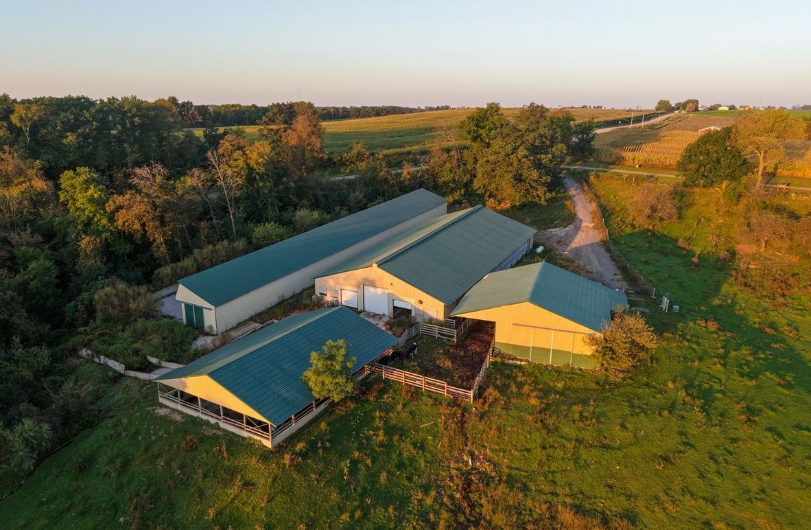 Monroe 5.31-03 Large