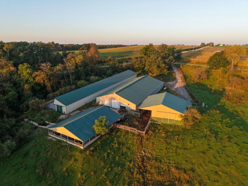 Monroe 5.31-03 Large