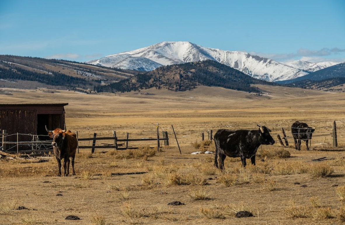 Park Co 162.85 Ladeira - 04 - Littel Baldy Mountain View