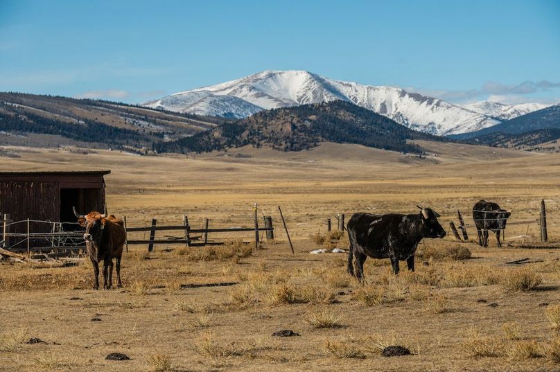 Park Co 162.85 Ladeira - 04 - Littel Baldy Mountain View