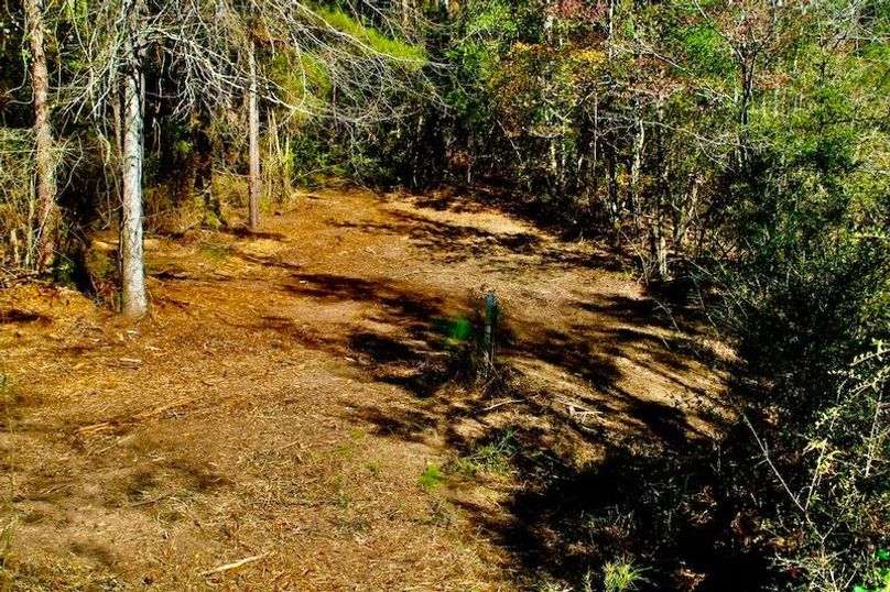 128957CB-9287-43FD-A636-63701DE509F1_1_105_c