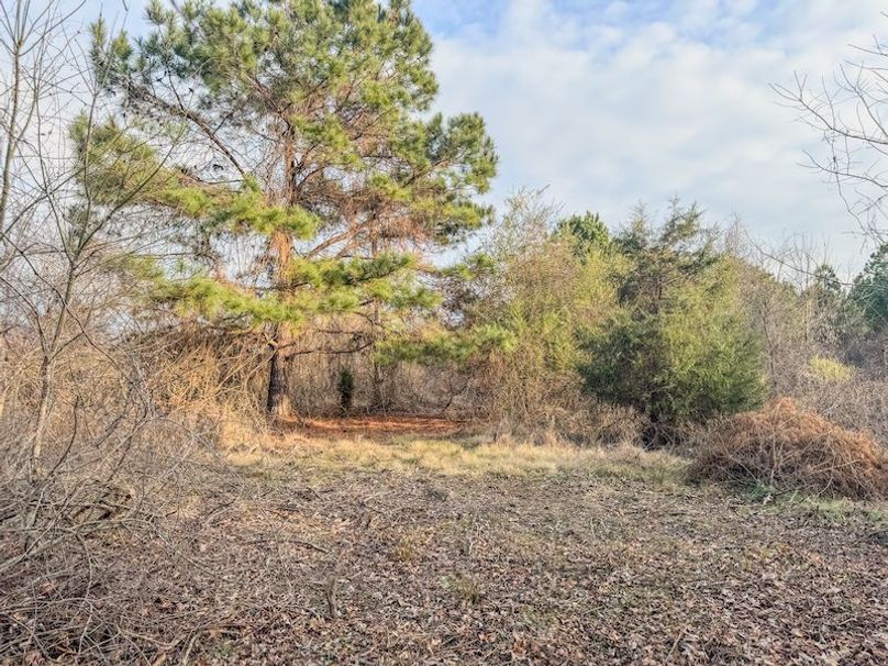 Monroe 80 Driver Dixon (Final Frontier) -17