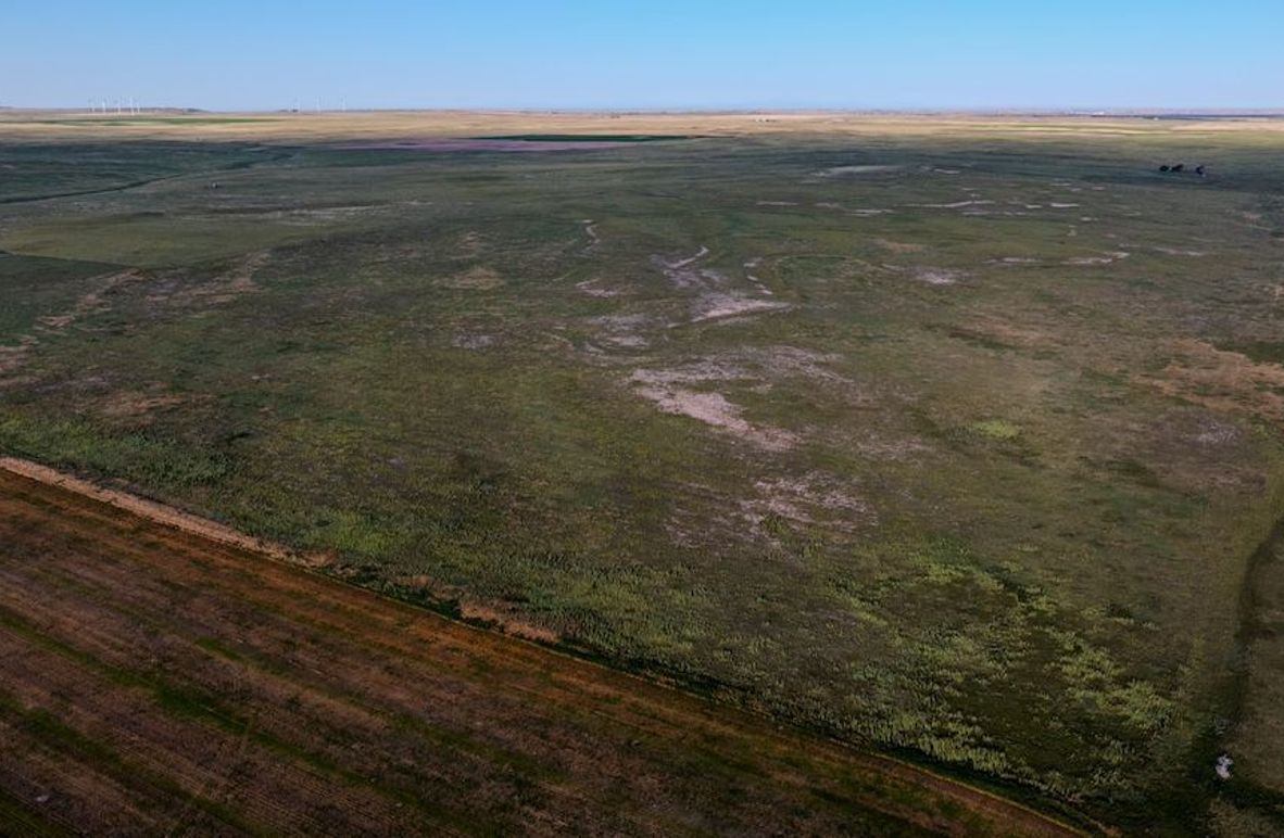 DJI_20250803071822_0010_D-HDR