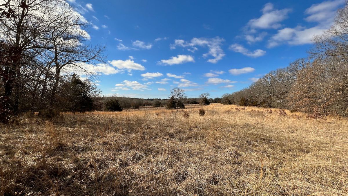 Established TurnKey Hunting Tract With Building Sites, Pond And Creek