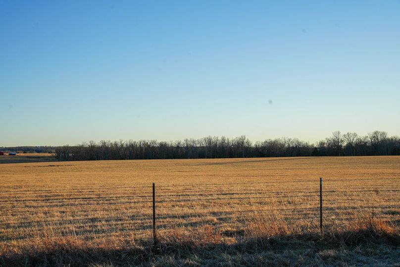 DSC02485bluestem