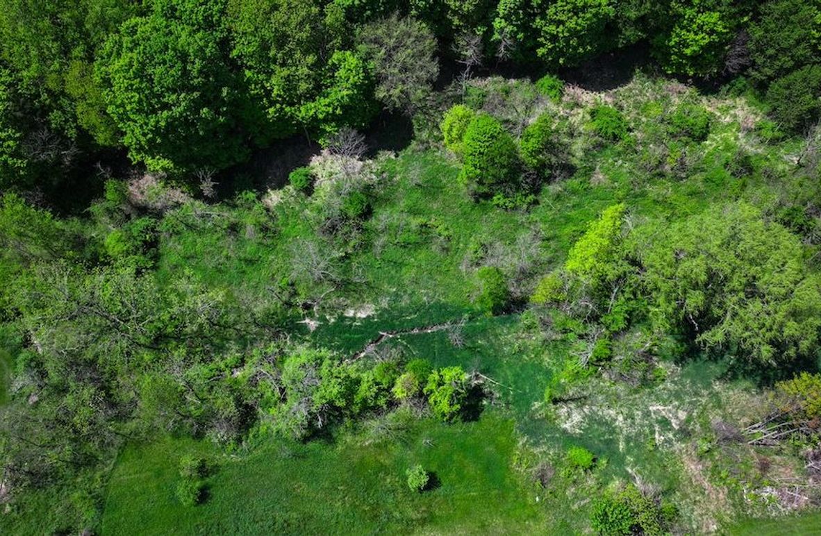 Copy of DJI_20250508022352_0101_D