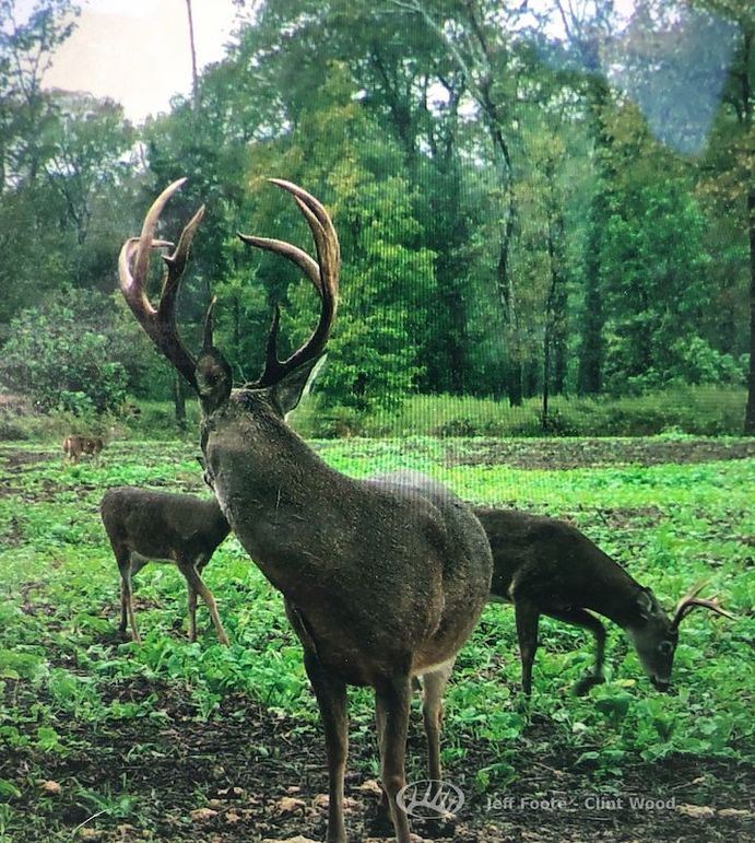 Washington Co - 980 - Patrick-26